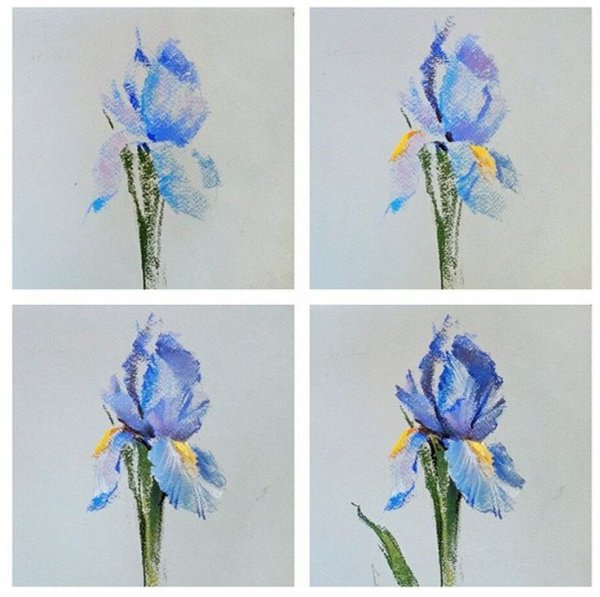 Цветок пастелью пошагово