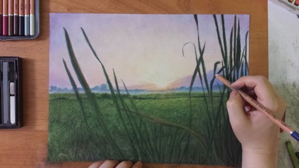 Рисование пастельными карандашами для начинающих