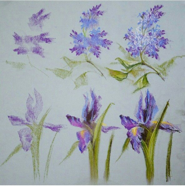 Елена таткина пастель