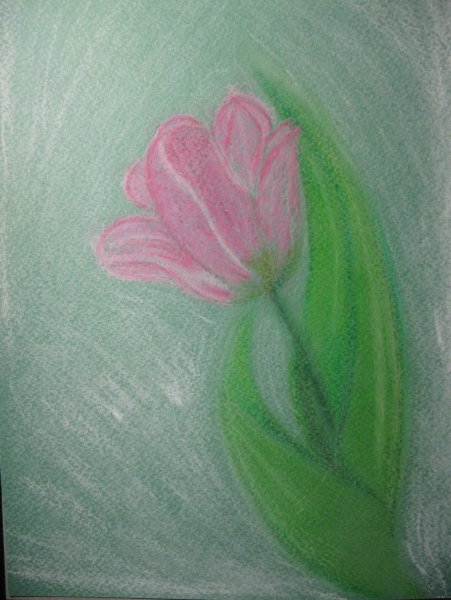 Рисование пастелью для начинающих