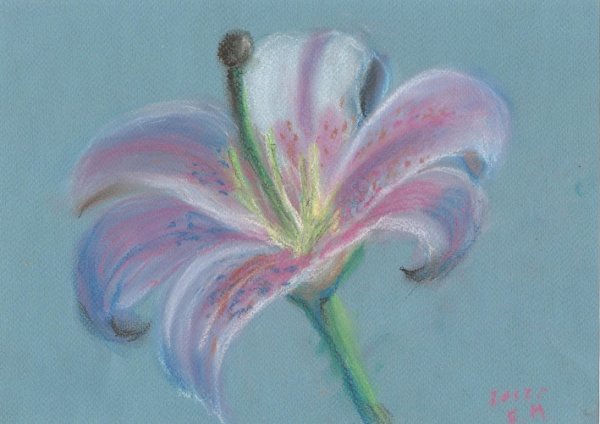 Рисование сухой пастелью для начинающих