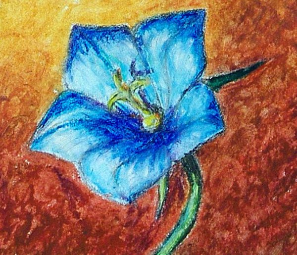 Цветы масляной пастелью для начинающих