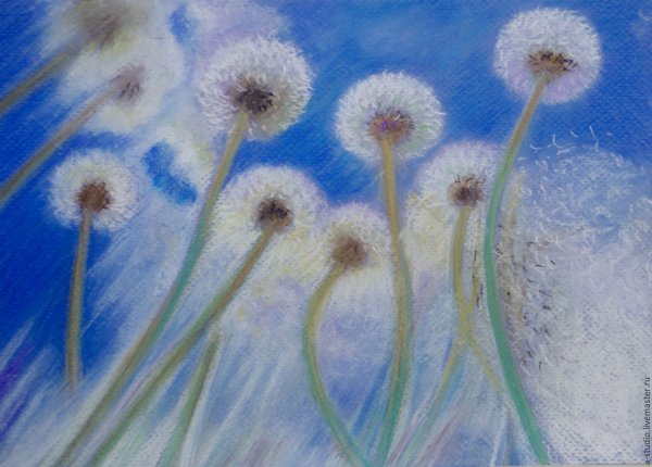 Живопись Ларисса Гамильтон , одуванчики