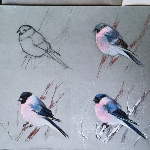 Снегирь таткина