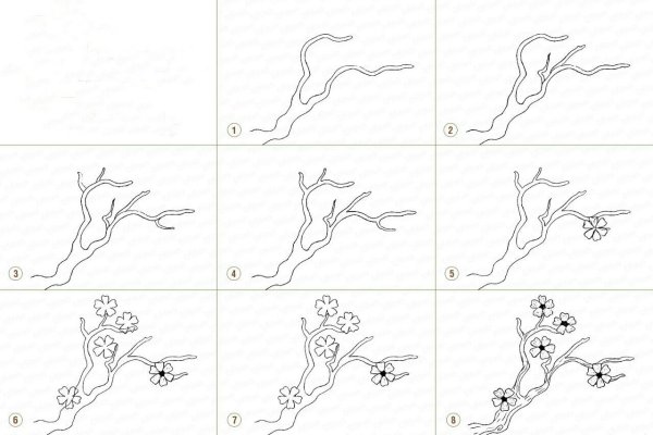 Как нарисовать дерево Сакуры поэтапно