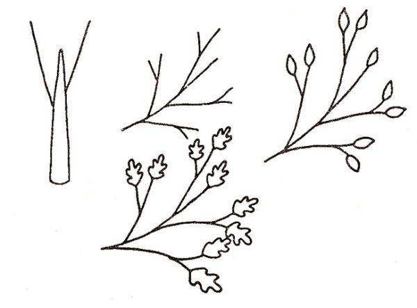 Раскраска почки и листочки