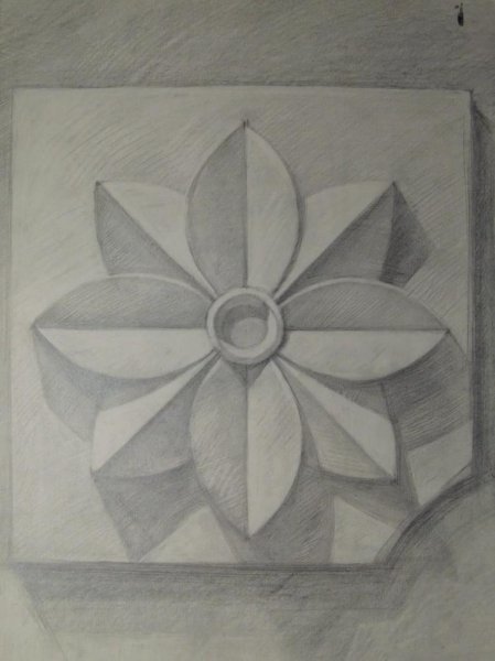 Академический рисунок гипсовая розетка