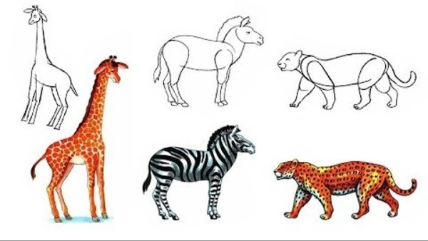 Схема рисования зебры для дошкольников