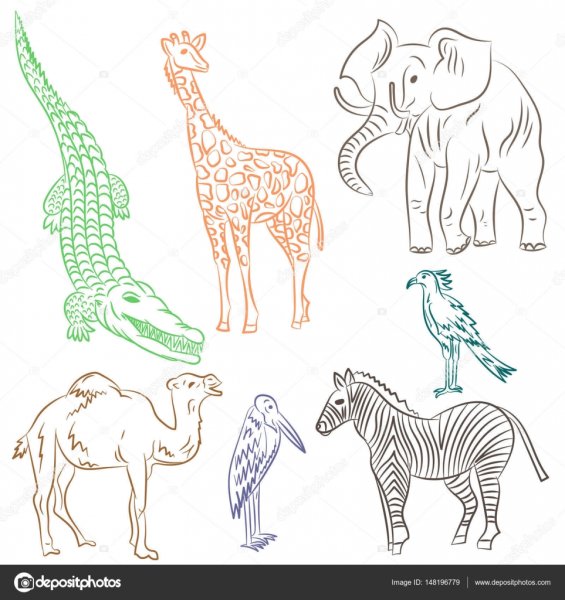 Карандашные рисунки африканских животных и птиц