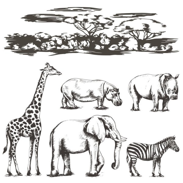 Рисунки африканских животных