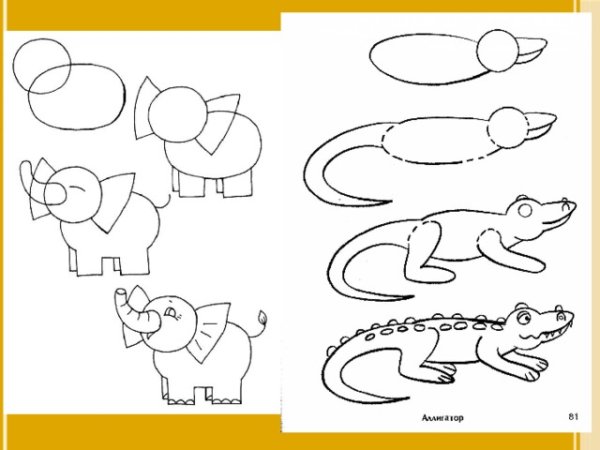 Поэтапное рисование животных жарких стран в подготовительной группе
