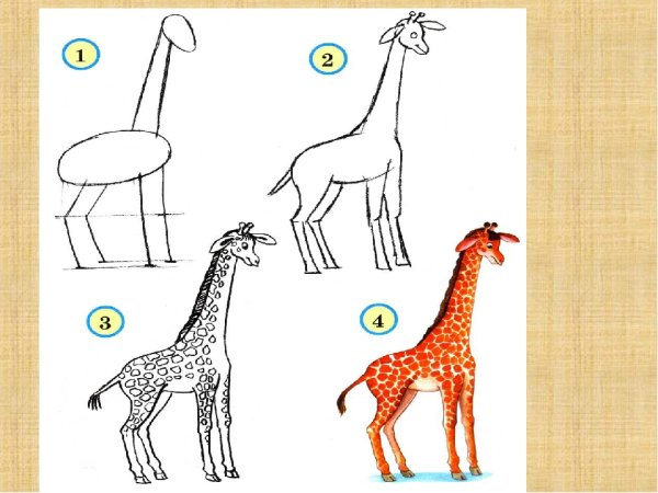 Рисование жирафа в подготовительной группе