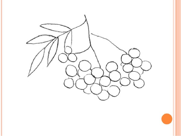 Пластилинография гроздь рябины