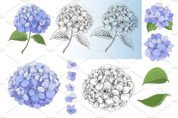 Гортензия стилизация