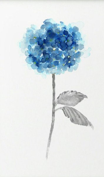 Гортензия стилизация