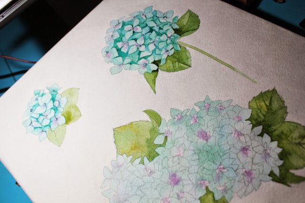 Гортензия рисование с детьми мятой бумагой