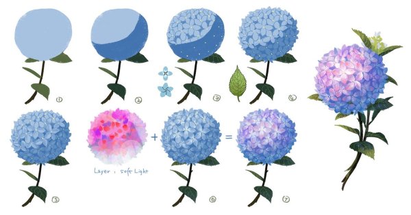 Гортензия туториал