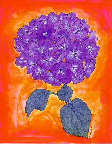 Цветок гортензия рисунок не сложный