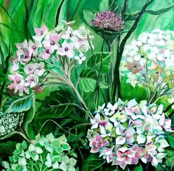 Нарисовать куст гортензии