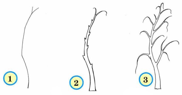 Поэтапное рисование березы