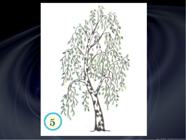 Нарисовать дерево березу