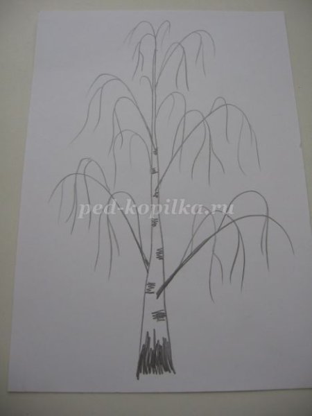 Поэтапное рисование березы в подготовительной группе