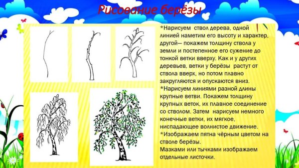 Последовательность рисования березы