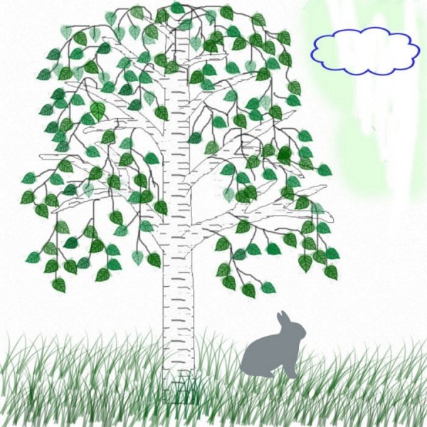 Рисование березы