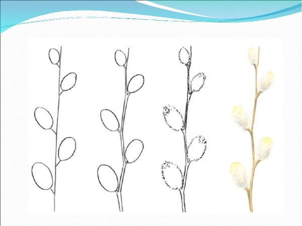 Рисование весенней веточки