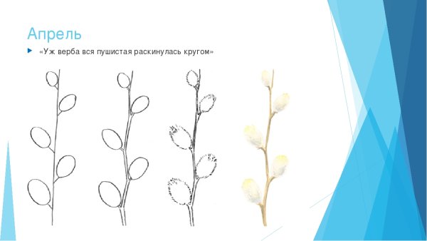 Уж Верба вся пушистая раскинулась