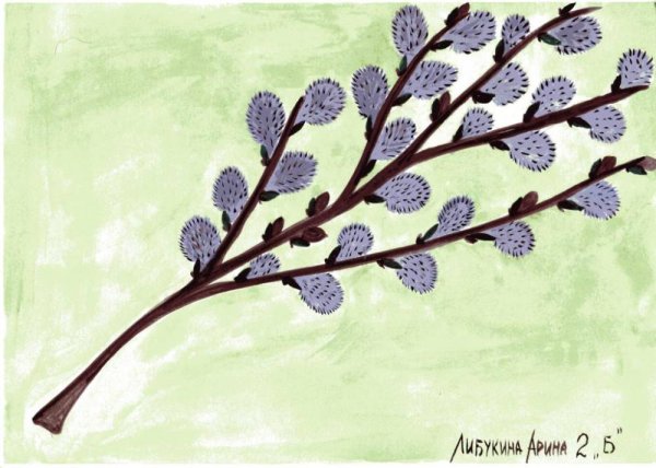 Рисование веточка вербы