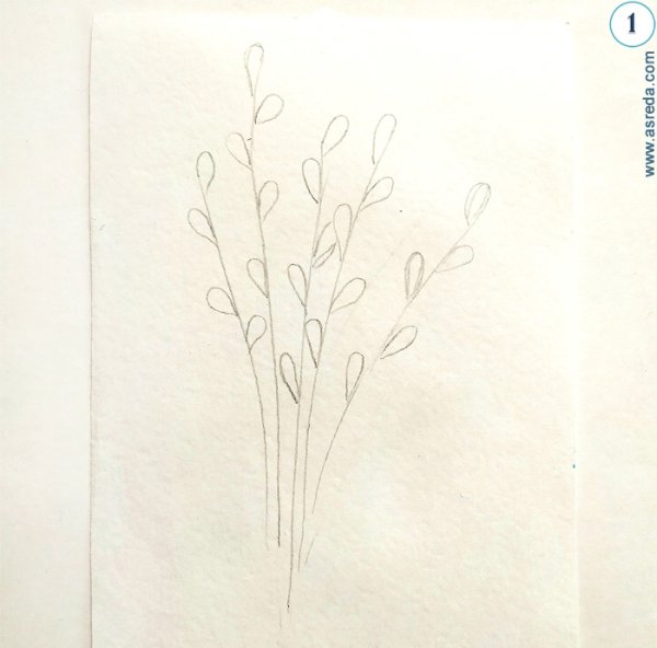 Веточка вербы карандашом