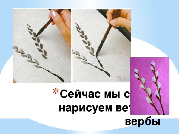 Поэтапное рисование ветка