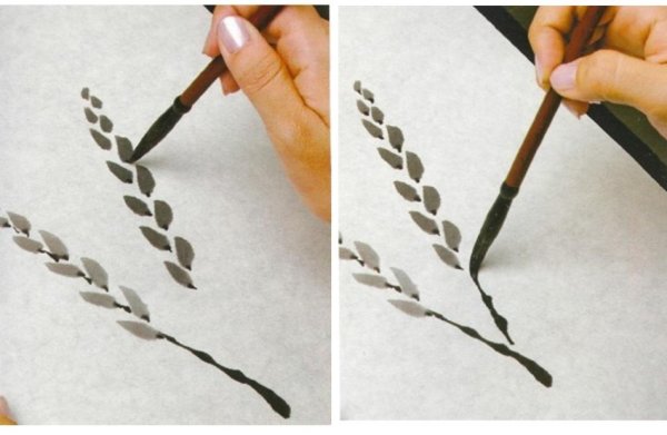 Верба рисунок простой