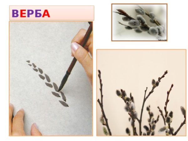 Рисование веточка вербы