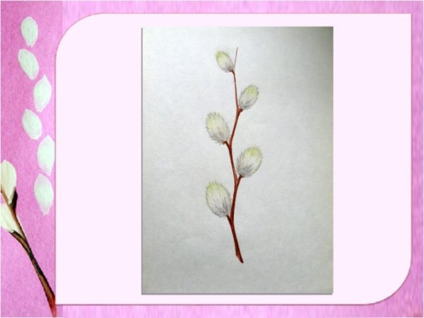 Веточка вербы рисунок вырезать