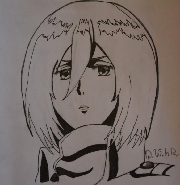 Микаса портрет карандашом