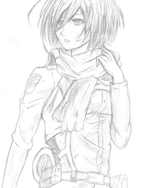 Микаса нарисовать поэтапно