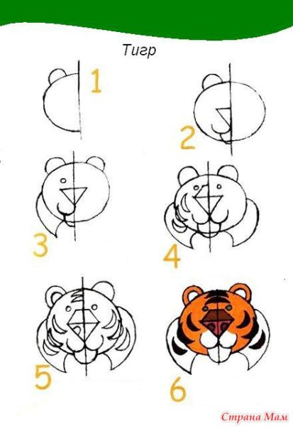 Тигр схема рисования