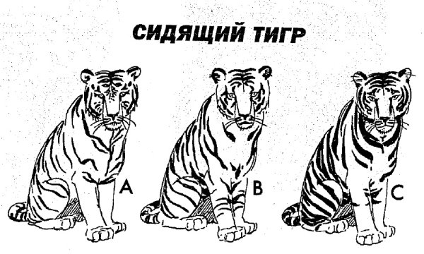 Тигр рисунок карандашом штриховка