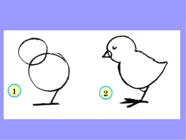 Поэтапное рисование цыпленка