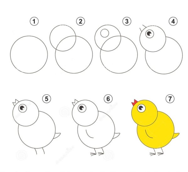 Поэтапное рисование цыпленка