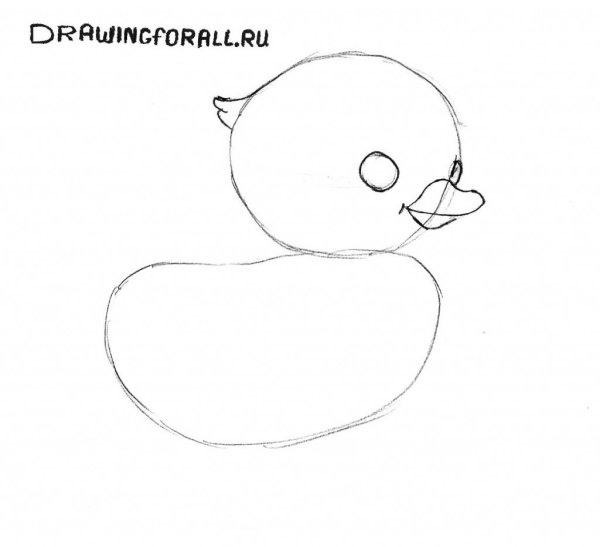 Цыпленок рисунок карандашом