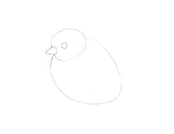 Цыплёнок рисунок карандашом лёгкий