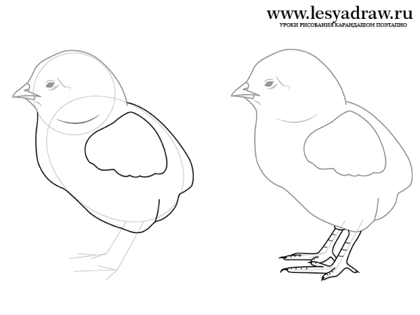 Нарисовать цыпленка карандашом поэтапно
