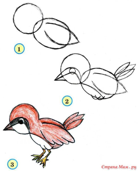 Поэтапное рисование птиц