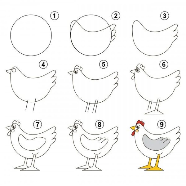Курица поэтапное рисование
