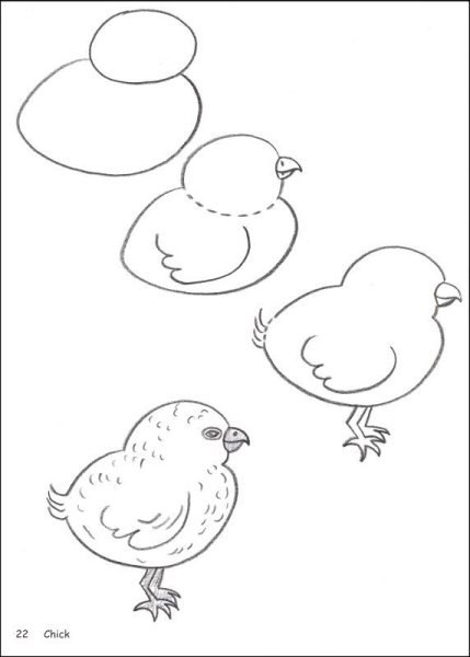 Ципленокнарисованный карандашом