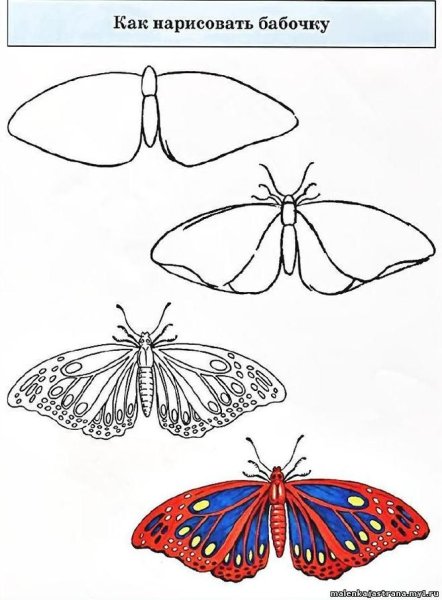 Как нарисовать бабочкк