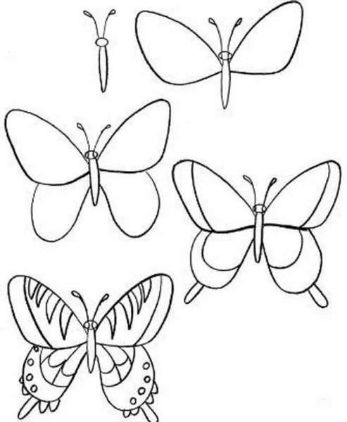Бабочка поэтапное рисование для детей